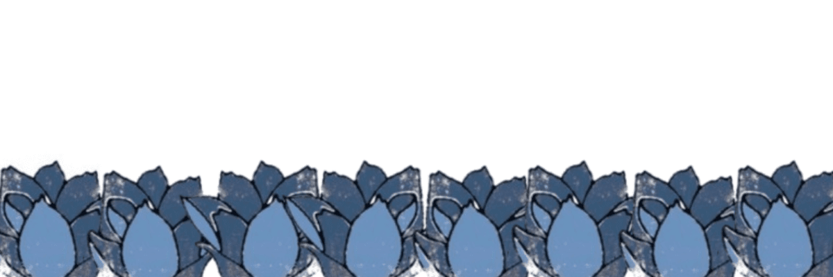 Blue Magnolia - clothing-boutiques in Beckley, West Virginia