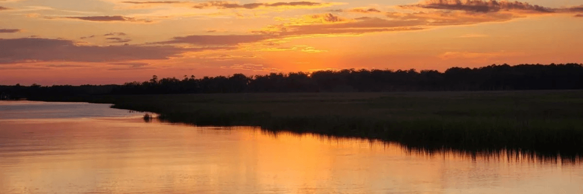 High Tide Collective - business-services in Savannah, Georgia